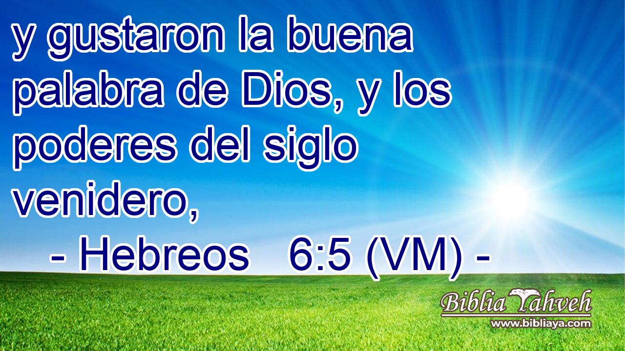  y gustaron la buena palabra de Dios, y los poderes del siglo venidero, 