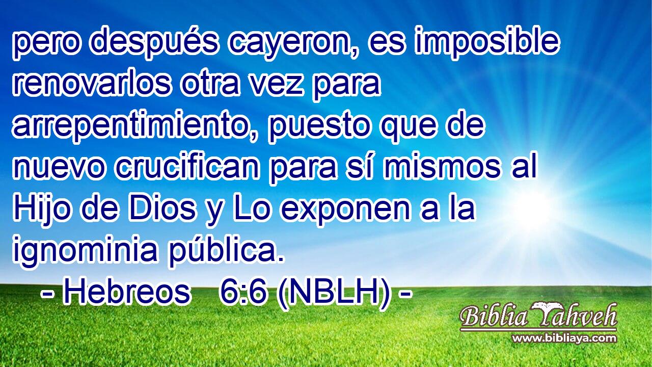  pero después cayeron, es imposible renovarlos otra vez para arrepentimiento, puesto que de nuevo crucifican para sí mismos al Hijo de Dios y Lo exponen a la ignominia pública. 