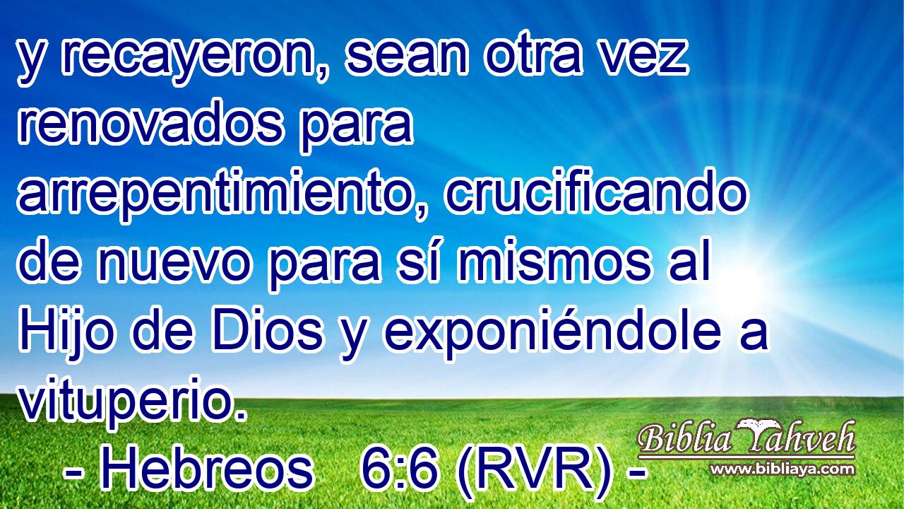 y recayeron, sean otra vez renovados para arrepentimiento, crucificando de nuevo para sí mismos al Hijo de Dios y exponiéndole a vituperio.