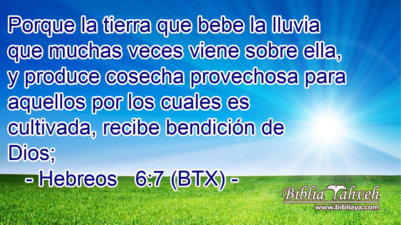 Porque la tierra que bebe la lluvia que muchas veces viene sobre ella, y produce cosecha provechosa para aquellos por los cuales es cultivada, recibe bendición de Dios;