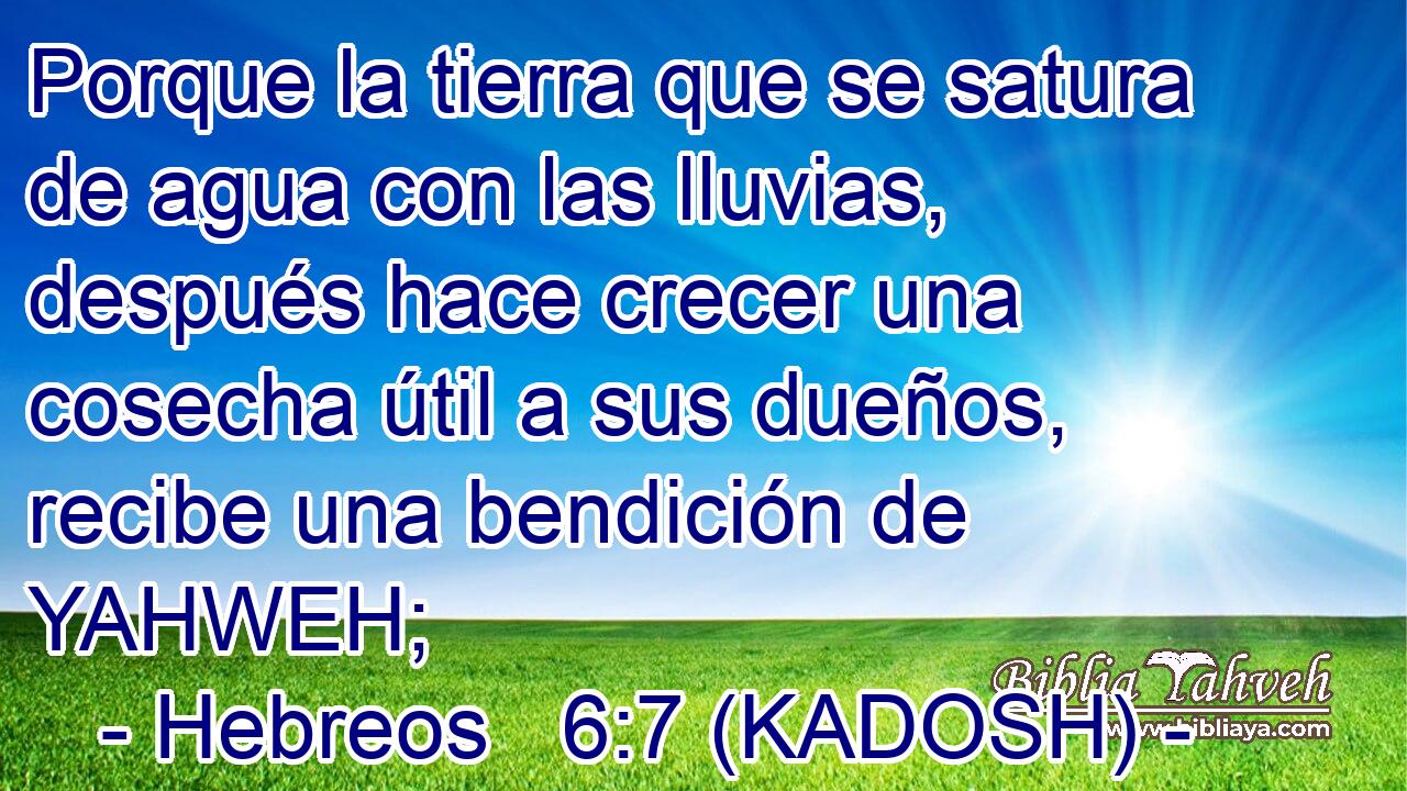  Porque la tierra que se satura de agua con las lluvias, después hace crecer una cosecha útil a sus dueños, recibe una bendición de YAHWEH; 