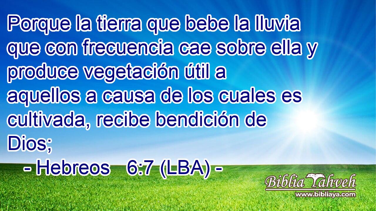 Porque la tierra que bebe la lluvia que con frecuencia cae sobre ella y produce vegetación útil a aquellos a causa de los cuales es cultivada, recibe bendición de Dios;