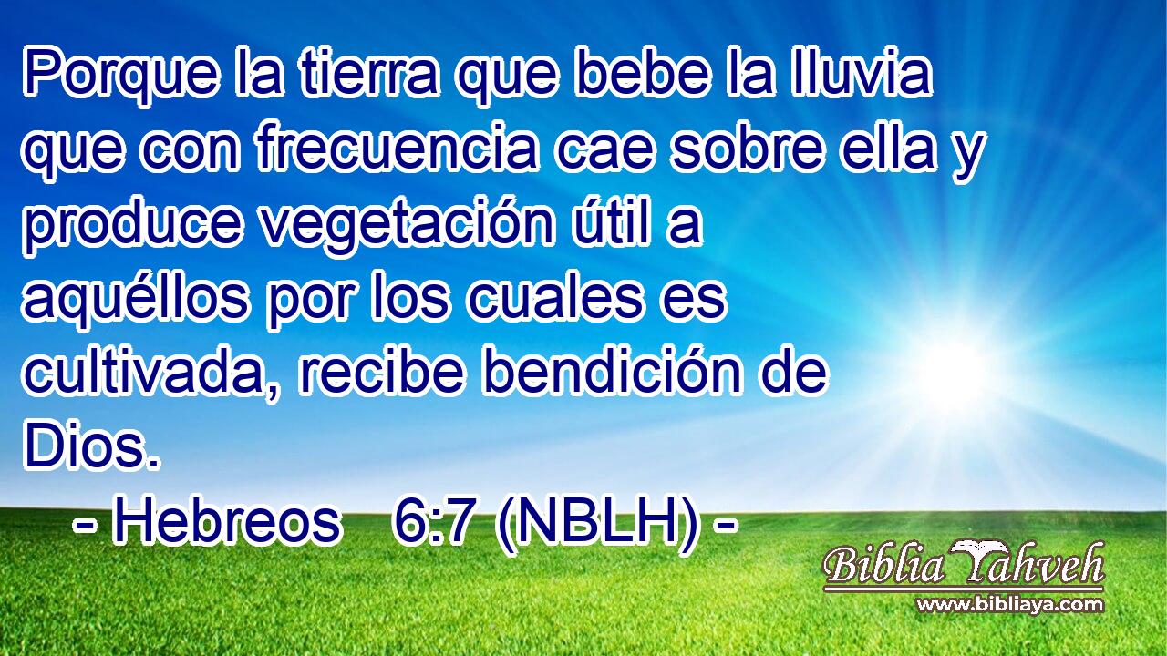  Porque la tierra que bebe la lluvia que con frecuencia cae sobre ella y produce vegetación útil a aquéllos por los cuales es cultivada, recibe bendición de Dios. 