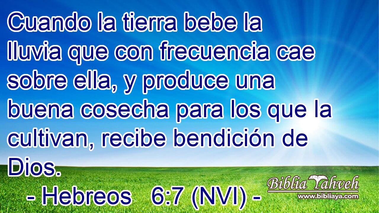  Cuando la tierra bebe la lluvia que con frecuencia cae sobre ella, y produce una buena cosecha para los que la cultivan, recibe bendición de Dios. 