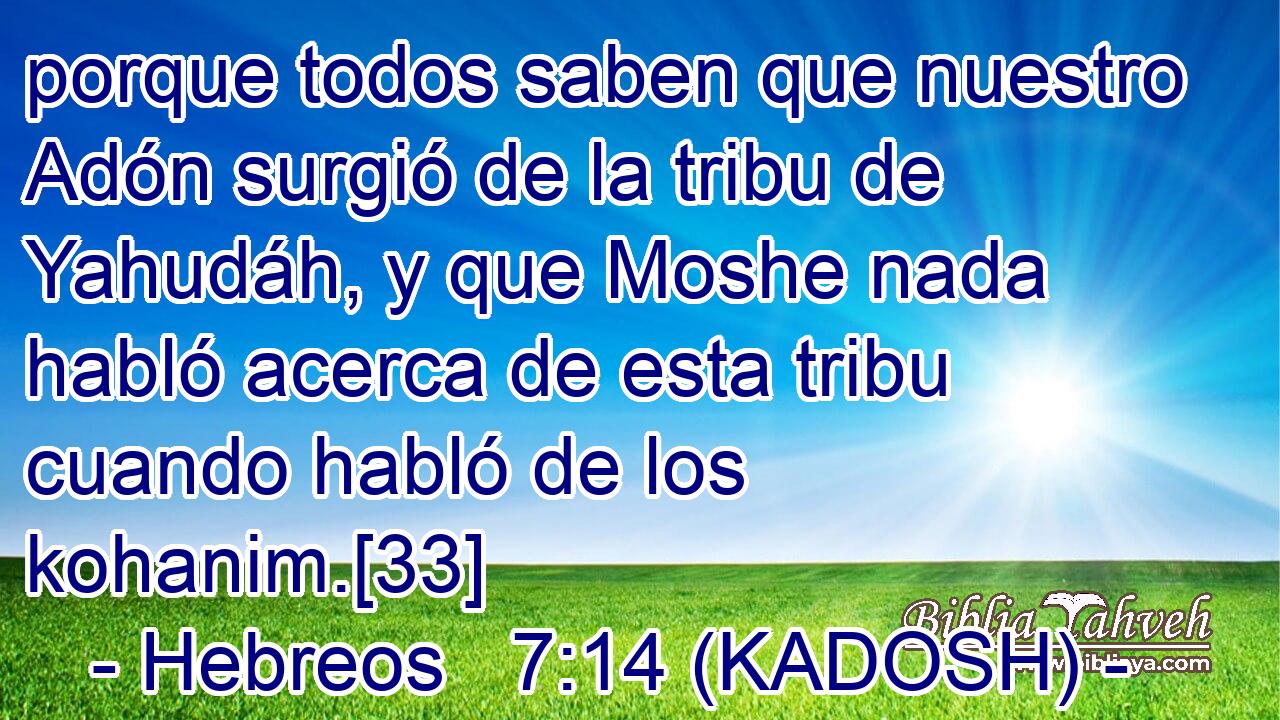 porque todos saben que nuestro Adón surgió de la tribu de Yahudáh, y que Moshe nada habló acerca de esta tribu cuando habló de los kohanim.[33] 