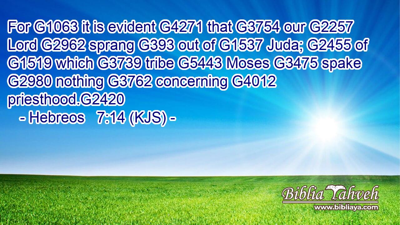 For G1063 it is evident G4271 that G3754 our G2257 Lord G2962 sprang G393 out of G1537 Juda; G2455 of G1519 which G3739 tribe G5443 Moses G3475 spake G2980 nothing G3762 concerning G4012 priesthood.G2420