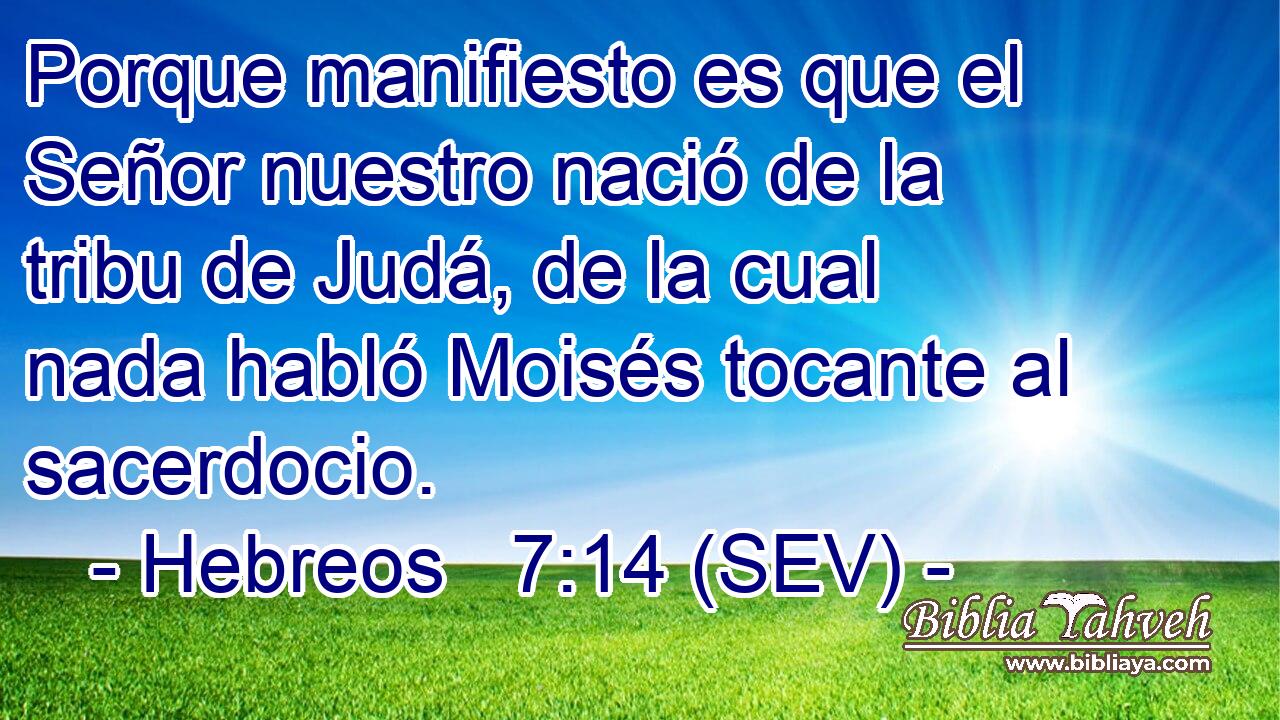 Porque manifiesto es que el Señor nuestro nació de la tribu de Judá, de la cual nada habló Moisés tocante al sacerdocio.