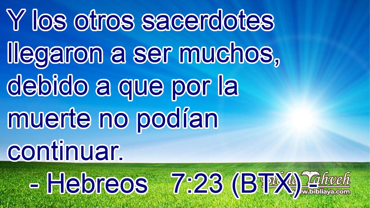 Y los otros sacerdotes llegaron a ser muchos, debido a que por la muerte no podían continuar.