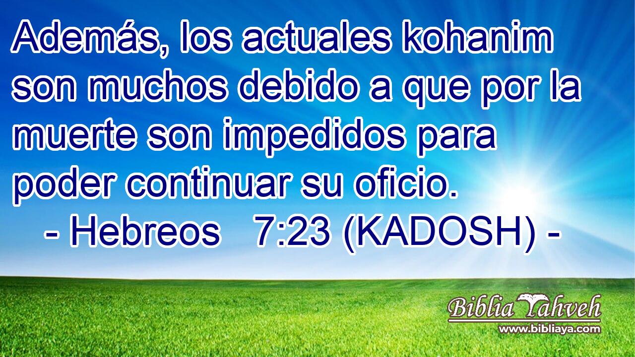  Además, los actuales kohanim son muchos debido a que por la muerte son impedidos para poder continuar su oficio. 