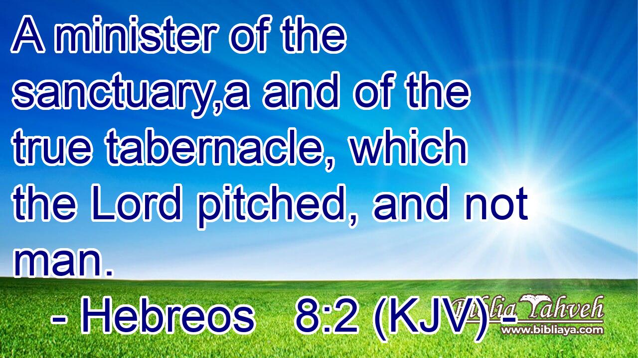 A minister of the sanctuary,a and of the true tabernacle, which the Lord pitched, and not man.