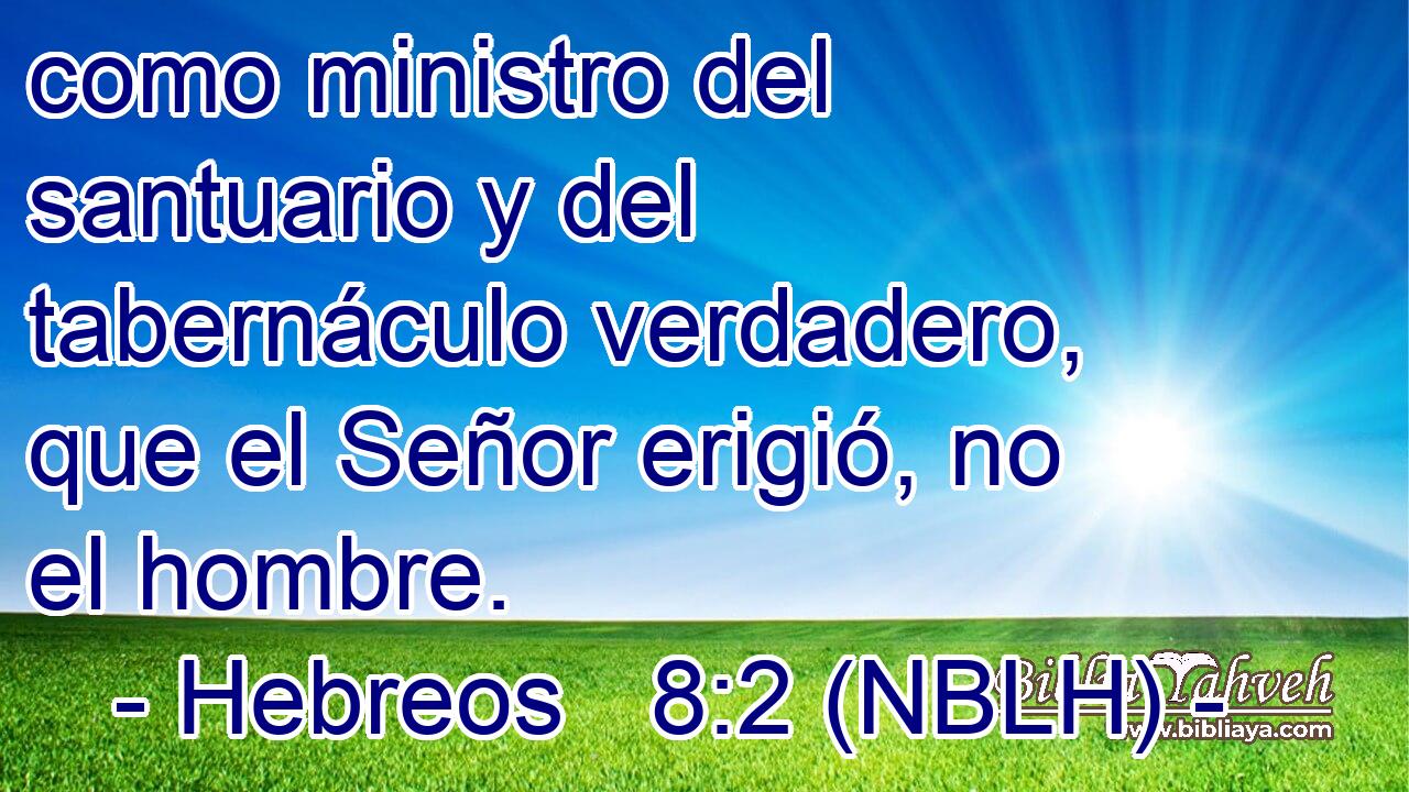  como ministro del santuario y del tabernáculo verdadero, que el Señor erigió, no el hombre. 