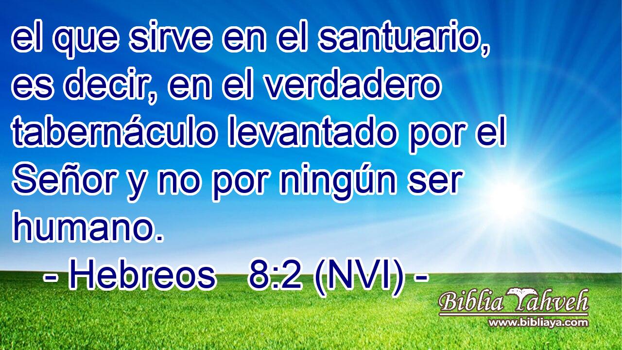  el que sirve en el santuario, es decir, en el verdadero tabernáculo levantado por el Señor y no por ningún ser humano. 