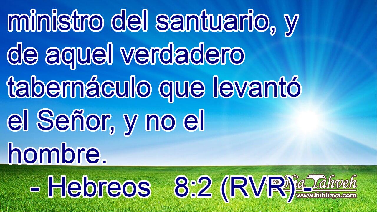 ministro del santuario, y de aquel verdadero tabernáculo que levantó el Señor, y no el hombre.