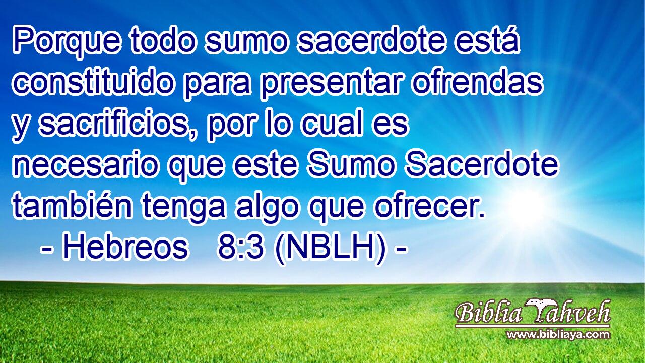  Porque todo sumo sacerdote está constituido para presentar ofrendas y sacrificios, por lo cual es necesario que este Sumo Sacerdote también tenga algo que ofrecer. 