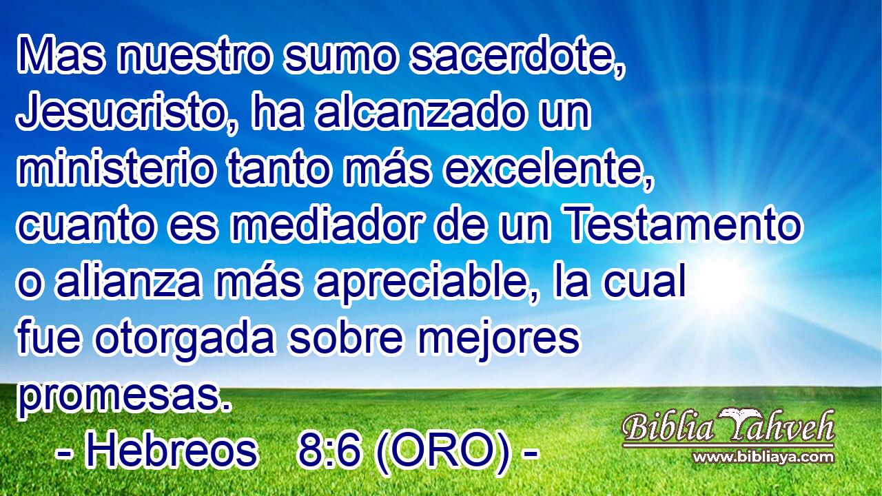  Mas nuestro sumo sacerdote, Jesucristo, ha alcanzado un ministerio tanto más excelente, cuanto es mediador de un Testamento o alianza más apreciable, la cual fue otorgada sobre mejores promesas. 