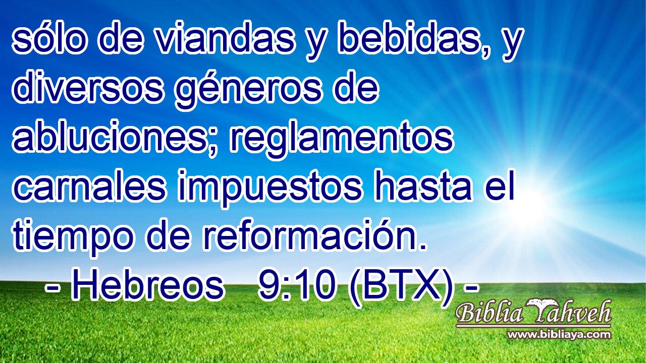 sólo de viandas y bebidas, y diversos géneros de abluciones; reglamentos carnales impuestos hasta el tiempo de reformación.