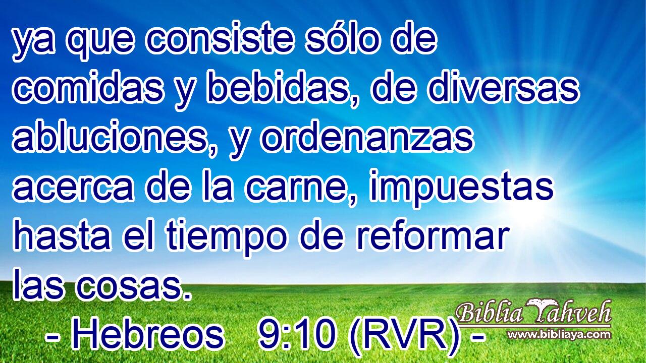 ya que consiste sólo de comidas y bebidas, de diversas abluciones, y ordenanzas acerca de la carne, impuestas hasta el tiempo de reformar las cosas.