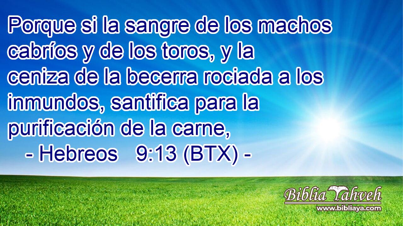Porque si la sangre de los machos cabríos y de los toros, y la ceniza de la becerra rociada a los inmundos, santifica para la purificación de la carne,