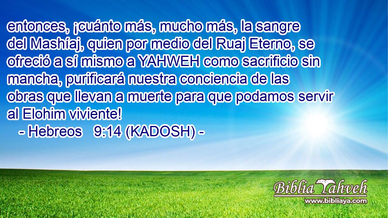 entonces, ¡cuánto más, mucho más, la sangre del Mashíaj, quien por medio del Ruaj Eterno, se ofreció a sí mismo a YAHWEH como sacrificio sin mancha, purificará nuestra conciencia de las obras que llevan a muerte para que podamos servir al Elohim viviente! 