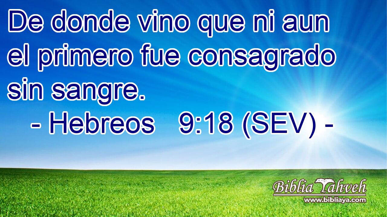 De donde vino que ni aun el primero fue consagrado sin sangre.