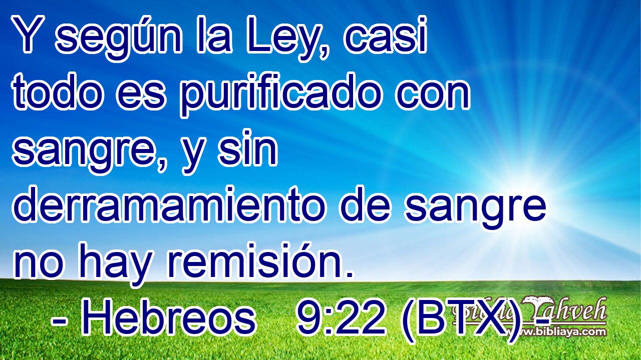 Y según la Ley, casi todo es purificado con sangre, y sin derramamiento de sangre no hay remisión.