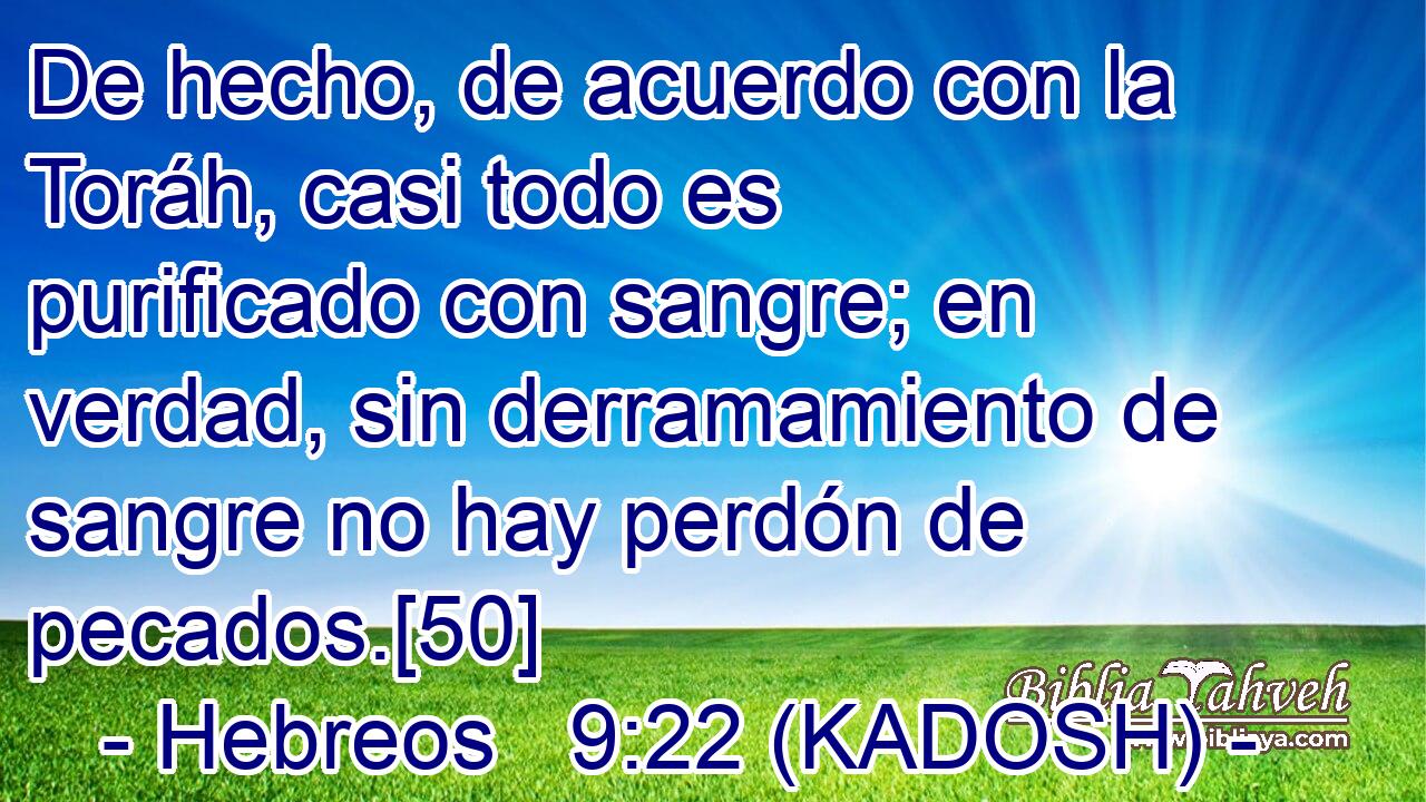  De hecho, de acuerdo con la Toráh, casi todo es purificado con sangre; en verdad, sin derramamiento de sangre no hay perdón de pecados.[50] 