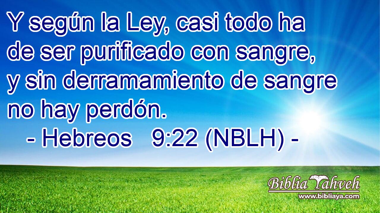  Y según la Ley, casi todo ha de ser purificado con sangre, y sin derramamiento de sangre no hay perdón. 