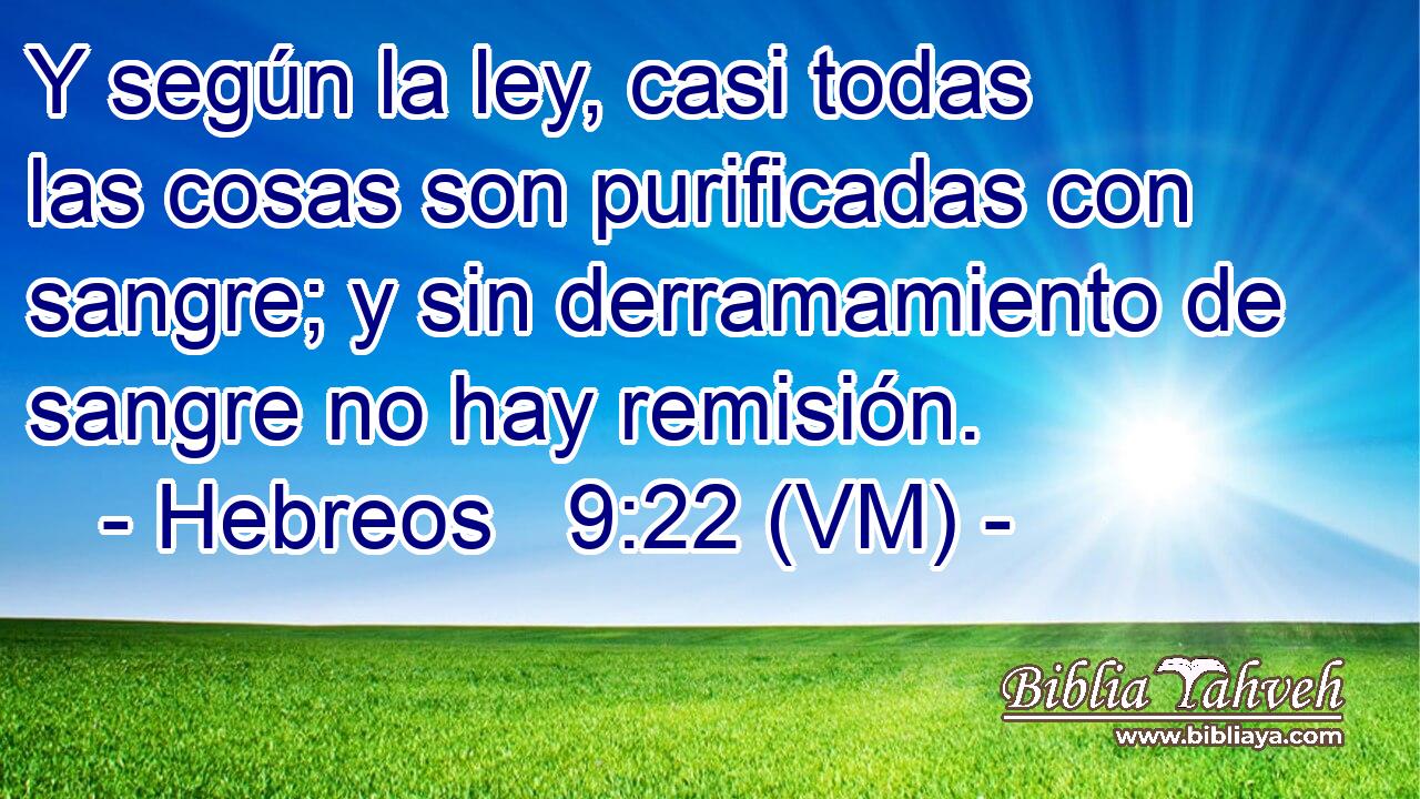  Y según la ley, casi todas las cosas son purificadas con sangre; y sin derramamiento de sangre no hay remisión. 