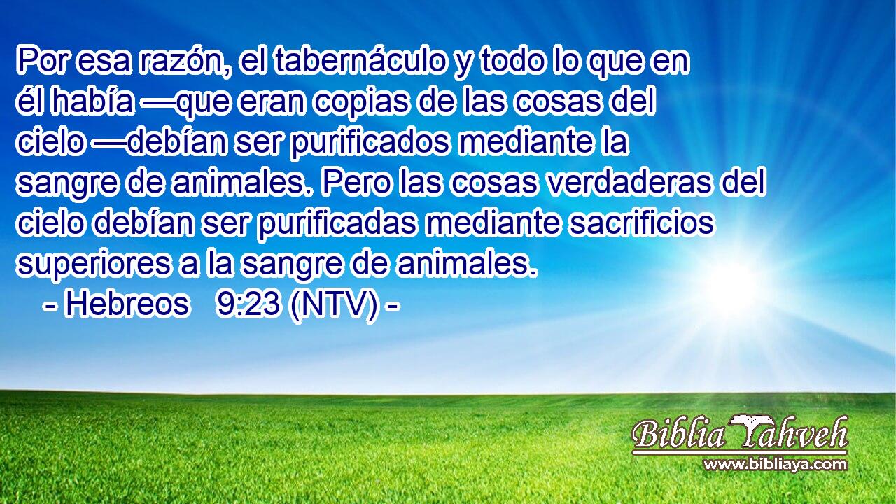 Por esa razón, el tabernáculo y todo lo que en él había —que eran copias de las cosas del cielo —debían ser purificados mediante la sangre de animales. Pero las cosas verdaderas del cielo debían ser purificadas mediante sacrificios superiores a la sangre de animales.
