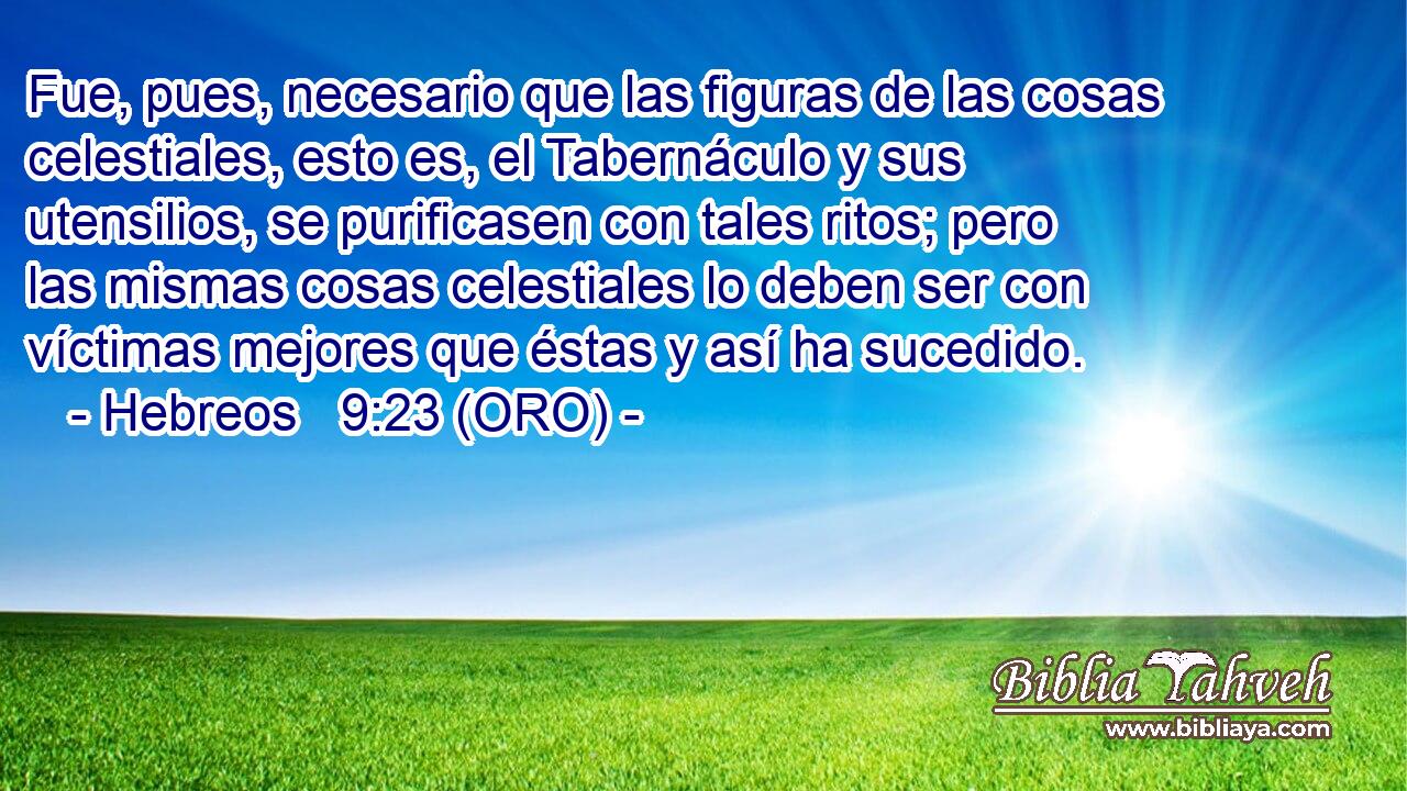  Fue, pues, necesario que las figuras de las cosas celestiales, esto es, el Tabernáculo y sus utensilios, se purificasen con tales ritos; pero las mismas cosas celestiales lo deben ser con víctimas mejores que éstas y así ha sucedido. 