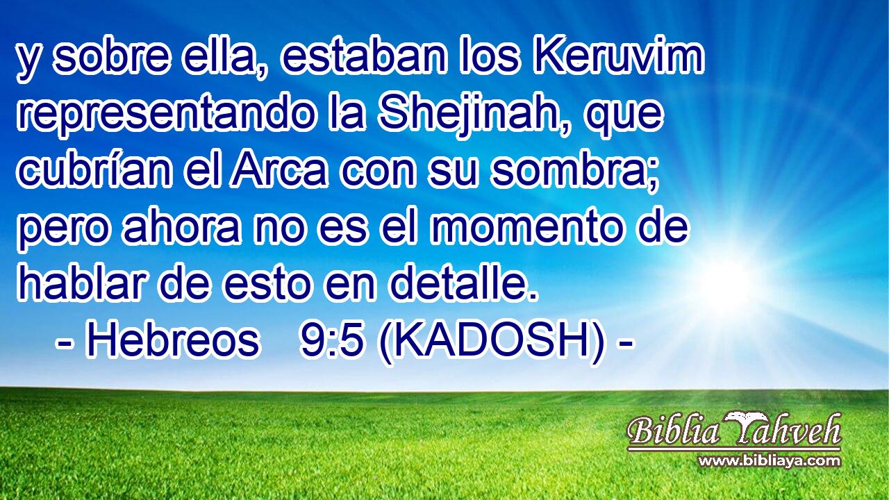  y sobre ella, estaban los Keruvim representando la Shejinah, que cubrían el Arca con su sombra; pero ahora no es el momento de hablar de esto en detalle. 