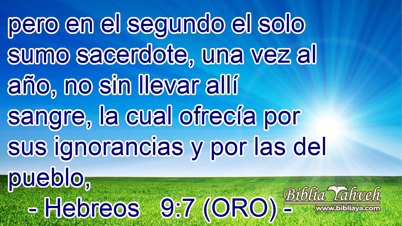  pero en el segundo el solo sumo sacerdote, una vez al año, no sin llevar allí sangre, la cual ofrecía por sus ignorancias y por las del pueblo, 