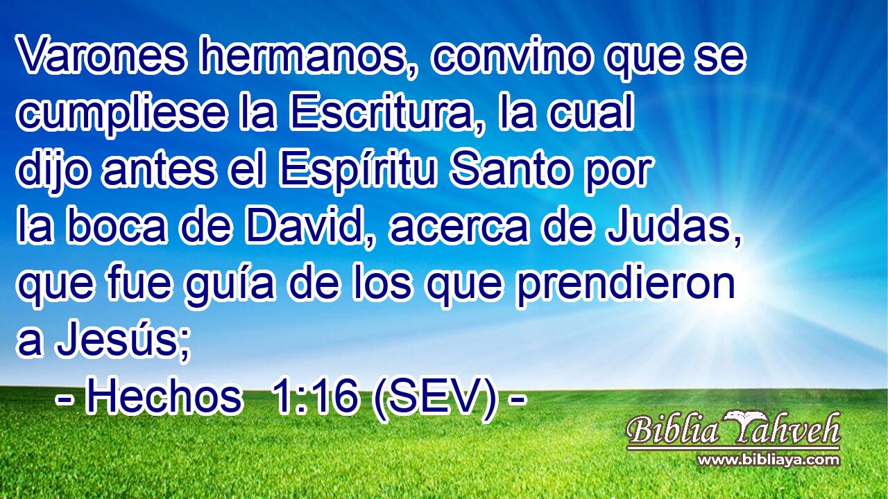 Varones hermanos, convino que se cumpliese la Escritura, la cual dijo antes el Espíritu Santo por la boca de David, acerca de Judas, que fue guía de los que prendieron a Jesús;