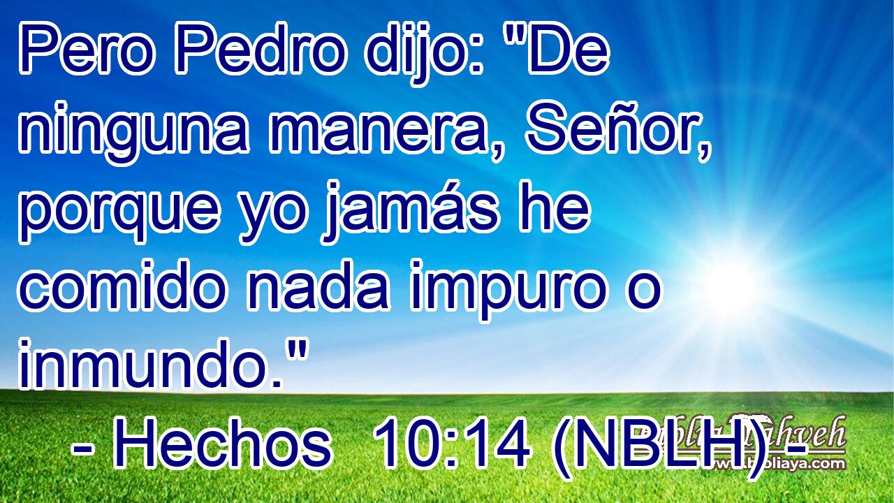  Pero Pedro dijo: 