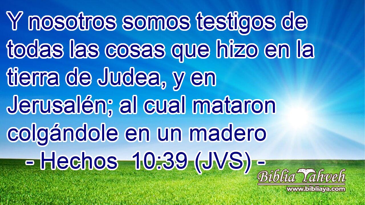Y nosotros somos testigos de todas las cosas que hizo en la tierra de Judea, y en Jerusalén; al cual mataron colgándole en un madero