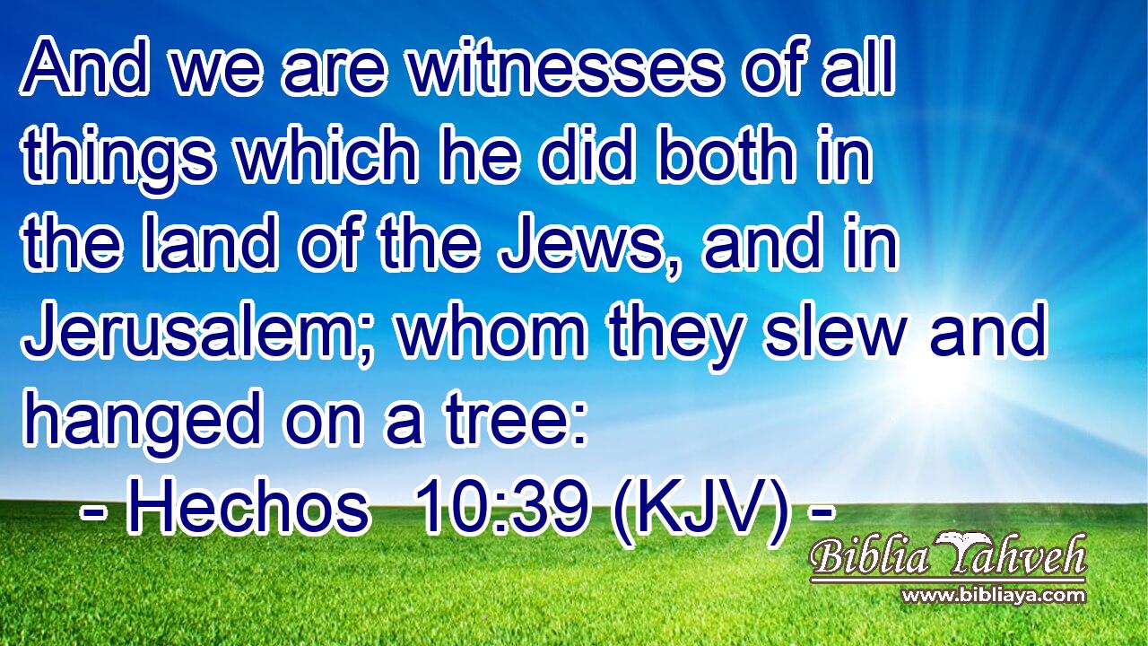 And we are witnesses of all things which he did both in the land of the Jews, and in Jerusalem; whom they slew and hanged on a tree:
