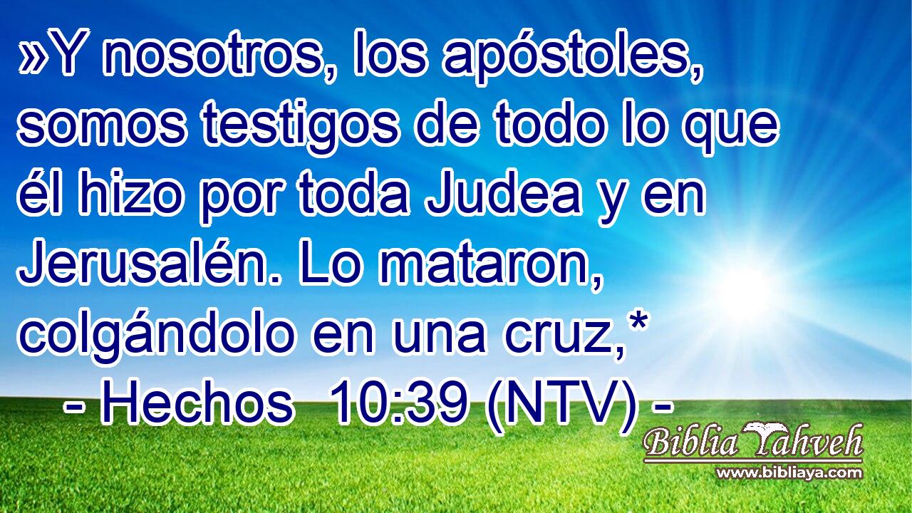 »Y nosotros, los apóstoles, somos testigos de todo lo que él hizo por toda Judea y en Jerusalén. Lo mataron, colgándolo en una cruz,*