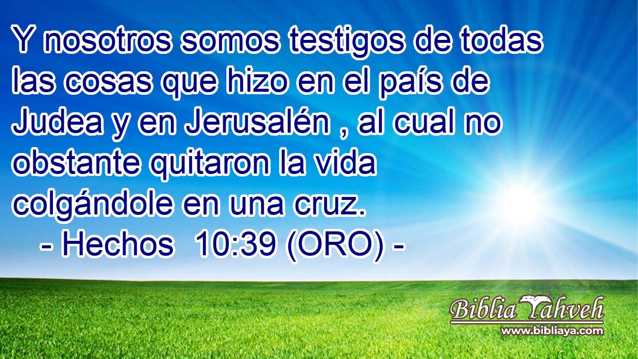  Y nosotros somos testigos de todas las cosas que hizo en el país de Judea y en Jerusalén , al cual no obstante quitaron la vida colgándole en una cruz. 