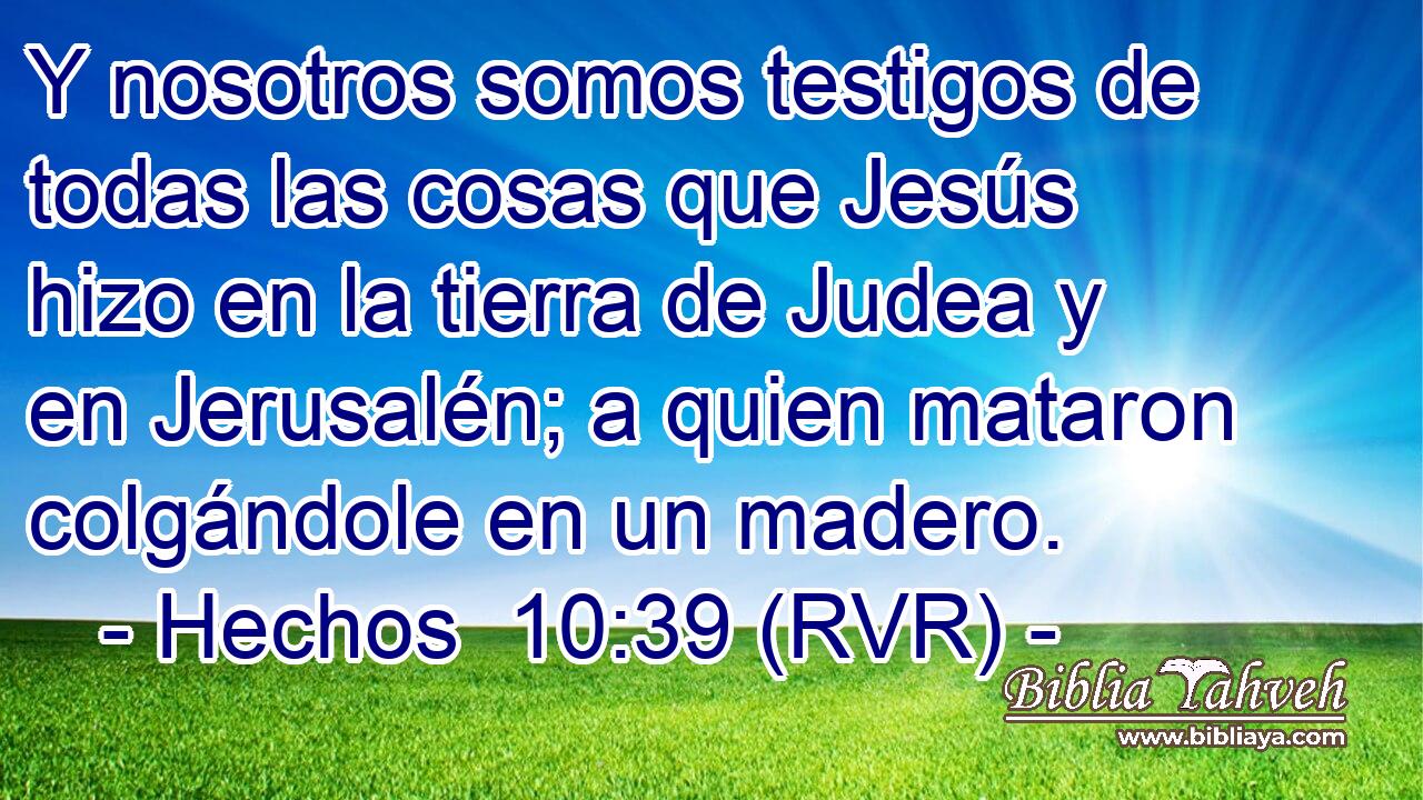 Y nosotros somos testigos de todas las cosas que Jesús hizo en la tierra de Judea y en Jerusalén; a quien mataron colgándole en un madero.