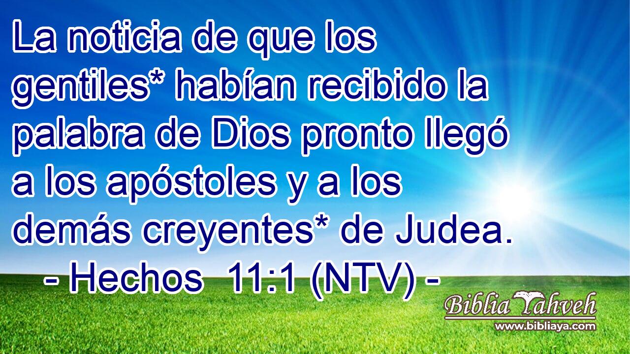 La noticia de que los gentiles* habían recibido la palabra de Dios pronto llegó a los apóstoles y a los demás creyentes* de Judea.