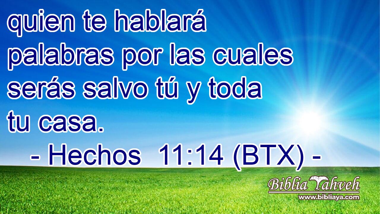 quien te hablará palabras por las cuales serás salvo tú y toda tu casa.