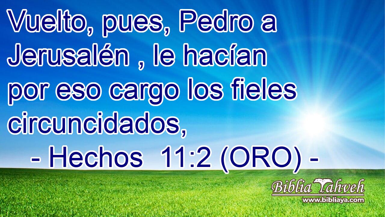  Vuelto, pues, Pedro a Jerusalén , le hacían por eso cargo los fieles circuncidados, 