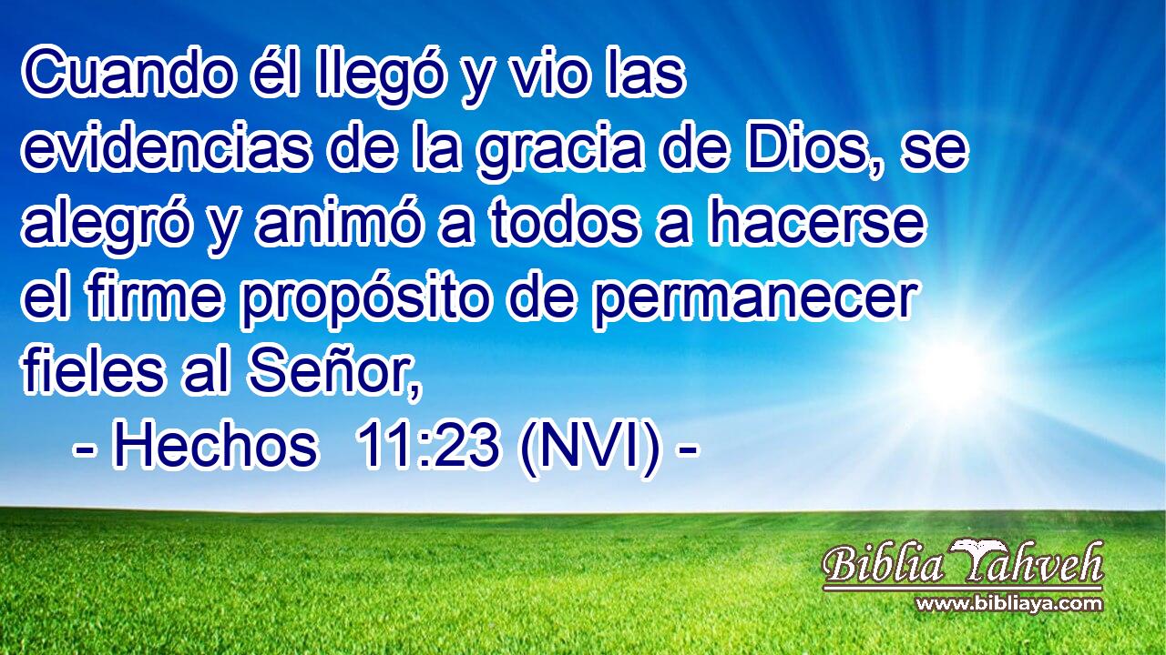  Cuando él llegó y vio las evidencias de la gracia de Dios, se alegró y animó a todos a hacerse el firme propósito de permanecer fieles al Señor, 