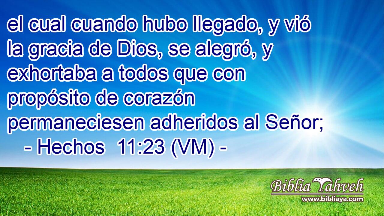  el cual cuando hubo llegado, y vió la gracia de Dios, se alegró, y exhortaba a todos que con propósito de corazón permaneciesen adheridos al Señor; 