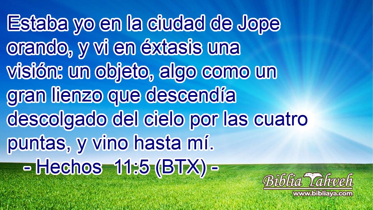 Estaba yo en la ciudad de Jope orando, y vi en éxtasis una visión: un objeto, algo como un gran lienzo que descendía descolgado del cielo por las cuatro puntas, y vino hasta mí.