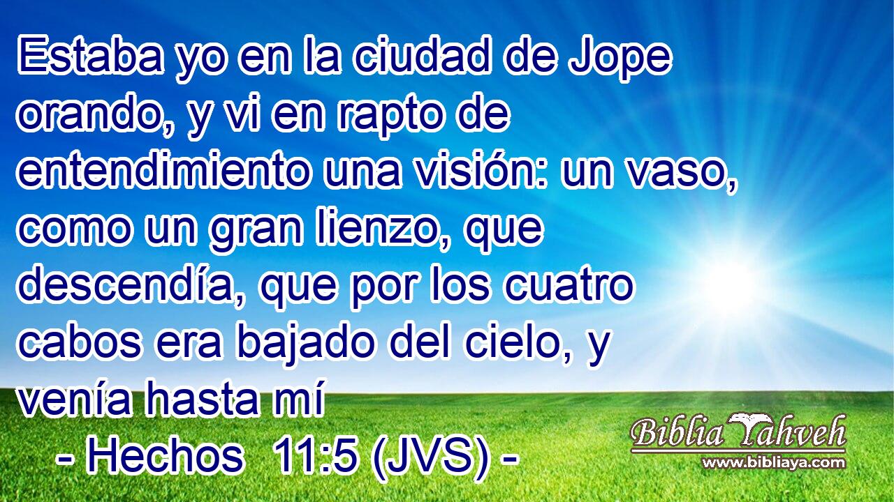 Estaba yo en la ciudad de Jope orando, y vi en rapto de entendimiento una visión: un vaso, como un gran lienzo, que descendía, que por los cuatro cabos era bajado del cielo, y venía hasta mí