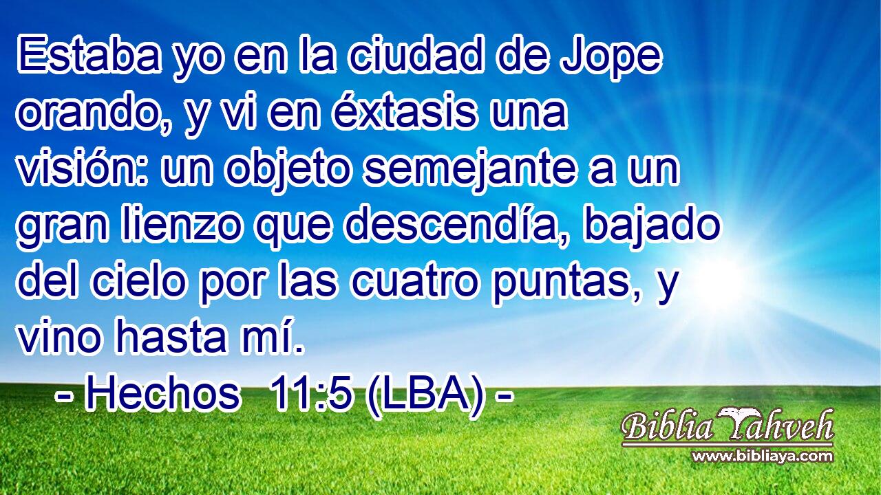 Estaba yo en la ciudad de Jope orando, y vi en éxtasis una visión: un objeto semejante a un gran lienzo que descendía, bajado del cielo por las cuatro puntas, y vino hasta mí.