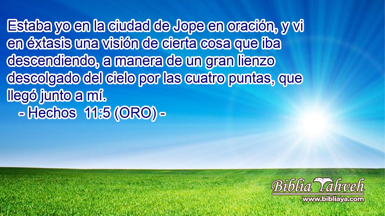  Estaba yo en la ciudad de Jope en oración, y vi en éxtasis una visión de cierta cosa que iba descendiendo, a manera de un gran lienzo descolgado del cielo por las cuatro puntas, que llegó junto a mí. 