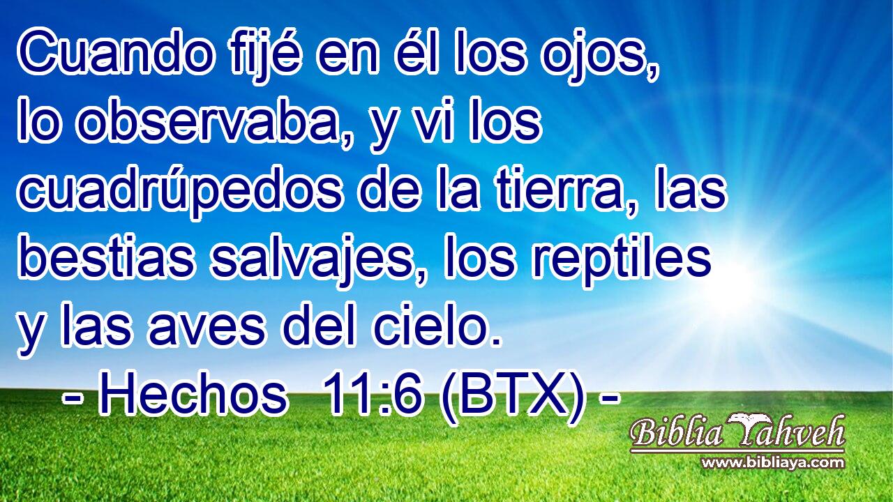 Cuando fijé en él los ojos, lo observaba, y vi los cuadrúpedos de la tierra, las bestias salvajes, los reptiles y las aves del cielo.