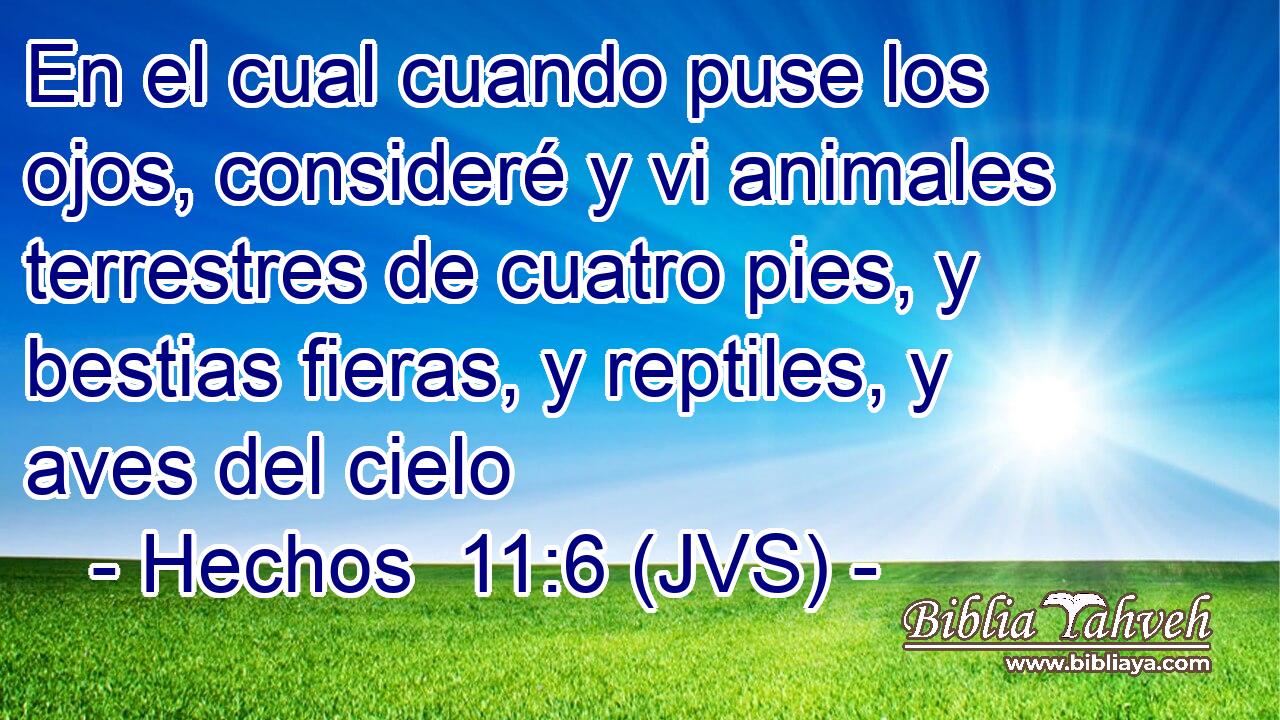 En el cual cuando puse los ojos, consideré y vi animales terrestres de cuatro pies, y bestias fieras, y reptiles, y aves del cielo